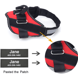 World's Best Dog Harness