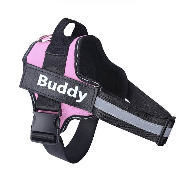 World's Best Dog Harness