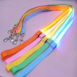 Nylon LED Light Up Dog Leash Night Safety