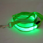 Nylon LED Light Up Dog Leash Night Safety