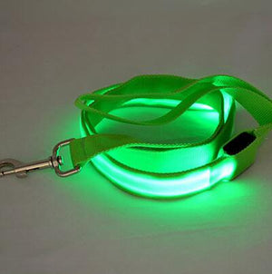 Nylon LED Light Up Dog Leash Night Safety