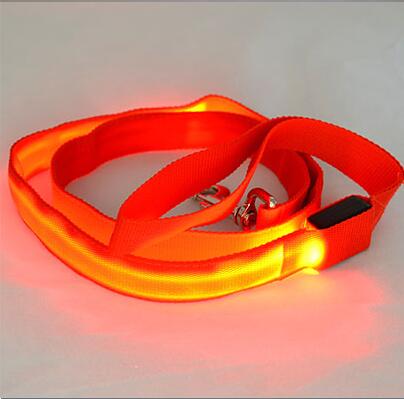 Nylon LED Light Up Dog Leash Night Safety