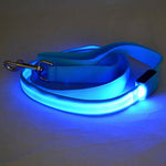 Nylon LED Light Up Dog Leash Night Safety