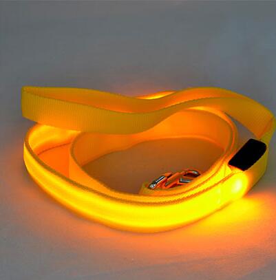 Nylon LED Light Up Dog Leash Night Safety