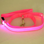 Nylon LED Light Up Dog Leash Night Safety