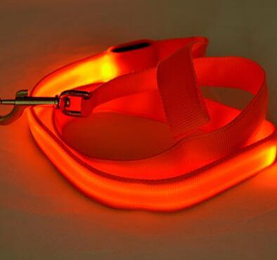 Nylon LED Light Up Dog Leash Night Safety