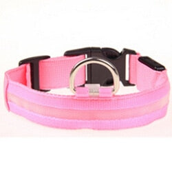 Nylon Pet Dog Collar LED Light Night Safety Pets